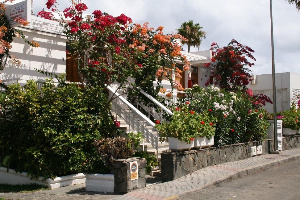 Apartamentos El Capricho Maspalomas  Extérieur photo